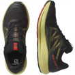 Мъжки обувки за бягане Salomon Pulsar Trail Gtx