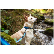 Нашийник за куче Mountain Paws Waterproof Dog Collar
