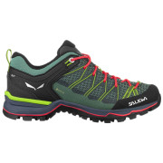 Дамски обувки Salewa Ws Mtn Trainer Lite Gtx