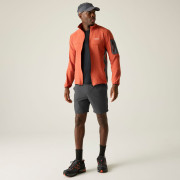 Мъжки къси панталони Regatta Anti-Insect Travel Light Shorts