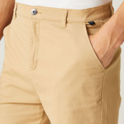 Мъжки къси панталони Regatta Sabden Short