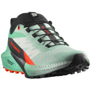 Дамски обувки за бягане Salomon Sense Ride 5 светло зелен/ черен Bay / Black / Cherry Tomato