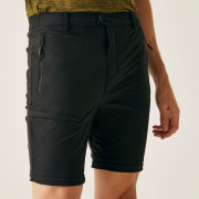 Мъжки панталони Regatta Highton Z/O Trousers II