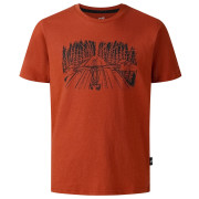 Детска тениска Dare 2b Trailbazer III Tee Arabian Spice кафяв ArabianSpice