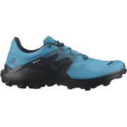 Мъжки обувки Salomon Wildcross 2 Gore-Tex