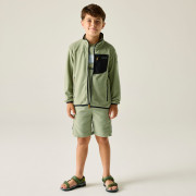 Детски суитшърт Regatta Junior Frankie F/Z Light Sage