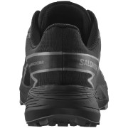 Мъжки обувки за бягане Salomon Thundercross Gore-Tex