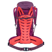 Дамска раница Salewa Alptrek 38 +5 Bp Ws