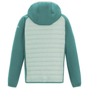 Детско яке Regatta Junior Andreson Hybrid IvyMossOMist