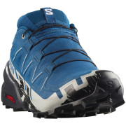 Мъжки обувки за бягане Salomon Speedcross 6 Gore-Tex