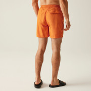 Мъжки къси панталони Regatta Mackleyna Swim Short