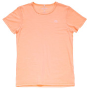 Дамска тениска Devold Active Tee Wmn