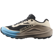 Мъжки обувки за бягане Salomon Genesis 2 GTX