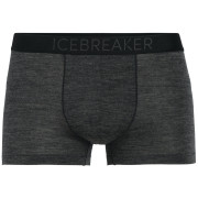 Мъжки боксерки Icebreaker M Anatomica Cool-Lite Trunks черен/сив BlackHthr