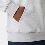 Мъжки суитшърт Helly Hansen Core Graphic Hoodie