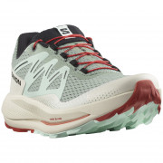 Дамски обувки за бягане Salomon Pulsar Trail червен