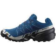 Мъжки обувки за бягане Salomon Speedcross 6 Gore-Tex