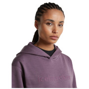 Дамски функционален суитшърт Icebreaker W Mer 360 RealFleece Elemental LS Hood