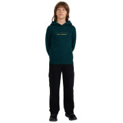 Детски суитшърт 4F Sweatshirt M1959