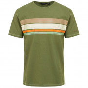 Мъжка тениска Regatta Rayonner зелен