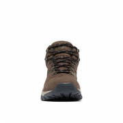 Мъжки трекинг обувки Columbia Newton Ridge™ Plus Ii Suede Wp