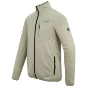 Мъжки суитшърт Regatta Hillden Midlayer