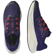 Мъжки обувки за бягане Salomon Aero Blaze 3 Grvl