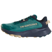 Мъжки обувки за бягане The North Face M Altamesa 300 V2 син PACIFIC TEAL/MIDNIGHT S