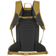 Мъжка раница Dynafit Ridge 26 Backpack