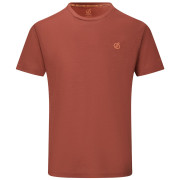 Мъжка тениска Dare 2b Agile Short Sleeved Tee кафяв ArabianSpice