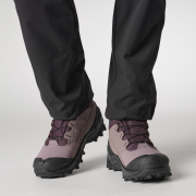 Дамски зимни ботуши Salomon Crosstrak Powder Wp W