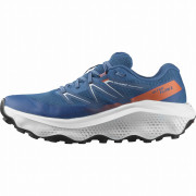 Мъжки обувки Salomon Ultra Flow 2 Gore-Tex