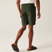 Мъжки къси панталони Regatta Dalry Short