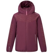 Детско зимно яке Regatta Illuma Reflective Jacket Fig винен Fig