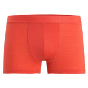 Мъжки боксерки Icebreaker M Anatomica Cool-Lite Trunks