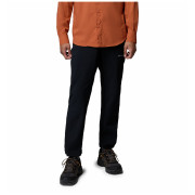 Мъжки панталони Columbia Essential Hike™ Brushed Back Pant черен Black