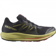 Мъжки обувки за бягане Salomon Pulsar Trail Gtx черен/зелен