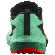 Дамски обувки за бягане Salomon Sense Ride 5