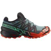 Мъжки обувки за бягане Salomon Speedcross 6 Gore-Tex