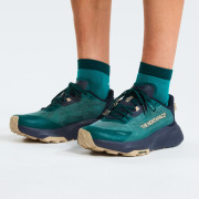 Мъжки обувки за бягане The North Face M Altamesa 300 V2