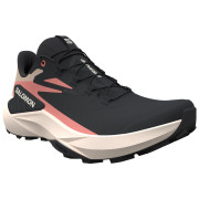 Дамски обувки Salomon Genesis Gore-Tex