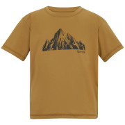 Детска тениска Regatta Alvarado Wood Brown кафяв Wood Brown