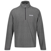 Мъжки суитшърт Regatta Montes M светло сив Light Steel