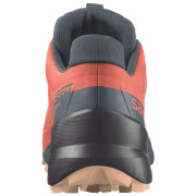 Дамски обувки Salomon Speedcross 5 GTX W