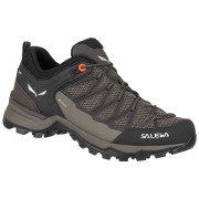 Дамски обувки Salewa Ws Mtn Trainer Lite Gtx сив