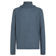 Мъжки суитшърт Icebreaker Men Mer 400 RealFleece Grid Pulover Hood син/сив Abyss