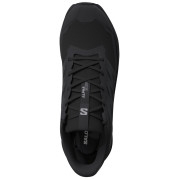 Дамски обувки Salomon Alphaglide Gore-Tex