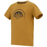 Детска тениска Regatta Bosley Wood Brown