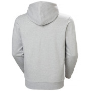 Мъжки суитшърт Helly Hansen Core Graphic Hoodie
