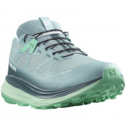 Дамски обувки за бягане Salomon Ultra Glide 2 Gore-Tex син/зелен